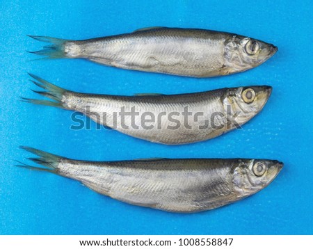 Three salt fish herring on a blue background.
