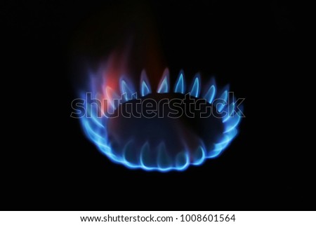 flame from a gas burner. on a black background.