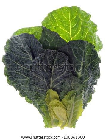 Fresh Collard Greens Isolated on White with a Clipping Path. Royalty-Free Stock Photo #100861300