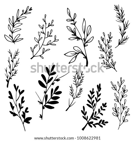 Hand drawn tree branches with leaves. Black and white vector illustration