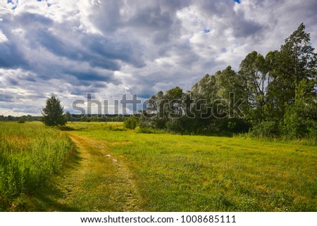 Road through the fields in the distance. Grass, trees under the blue sky with white clouds on a summer day. Landscape view, beautiful screensaver picture.