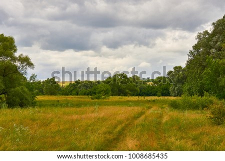 Road through the fields in the distance. Grass, trees under the blue sky with white clouds on a summer day. Landscape view, beautiful screensaver picture.