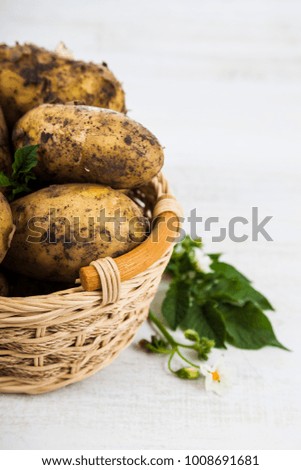 Raw potatoes with leaves and flowers on a wooden table