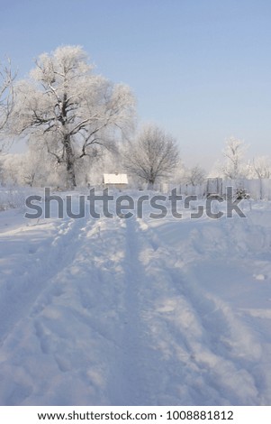 winter landscape, frosty morning, vertical