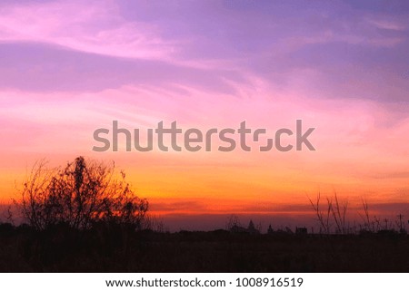 The silhouette sunset landscapes with violet and orange sky