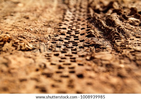 Bike tire tracks on muddy trail royalty. Tire tracks on wet muddy road, abstract background, texture material. Tyre track on dirt sand or mud, retro tone, grunge tone, drive on sand, off road track.
