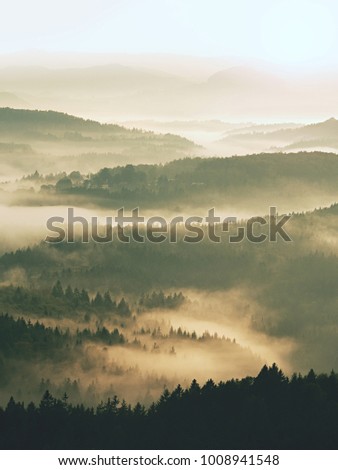 Autumn sunrise. Deep forest in a beautiful hilly landscape within inversion weather. Treetops  increased from foggy background. Vivid effect.
