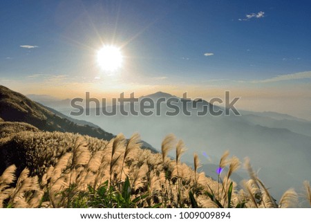 Sunrise on the mountain with sunshine, mist and beautiful clouds, Miscanthus was the wind.