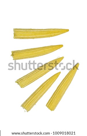 mini corn ears, Zea mays, isolated on white 