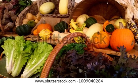 Brightly Colored Farm Fresh Produce, Including Pumpkins, Gourds, Indian Corn and a Variety of Lettuce Types; Rich Fall Colors, Harvest, Get Ready for Autumn Concepts