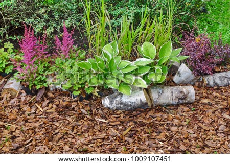 Mulched Backyard Garden Or Park Path Boarded By Grass And Flowers At Summertime Royalty-Free Stock Photo #1009107451