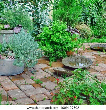 Decorated Backyard Garden Corner And Patio Brick Flooring After Rain. Modern Floral Landscaping Design.