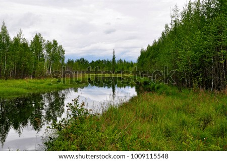 Small lake in taiga. Amur region. Russia.