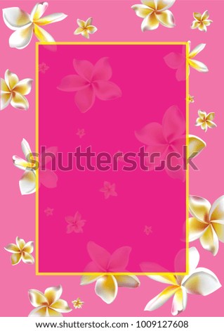 plumeria frangipani flower background
