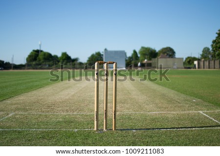 Cricket stumps in the summer Royalty-Free Stock Photo #1009211083