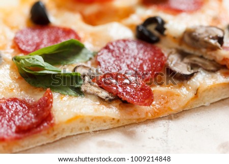 A hot pizza slice with dripping melted cheese, with mushrooms, salami, peperoni, tomatoes, basil
