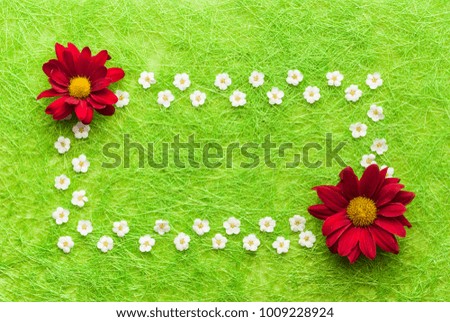red and white flowers on yellow background. Blooming concept. Flat lay.
