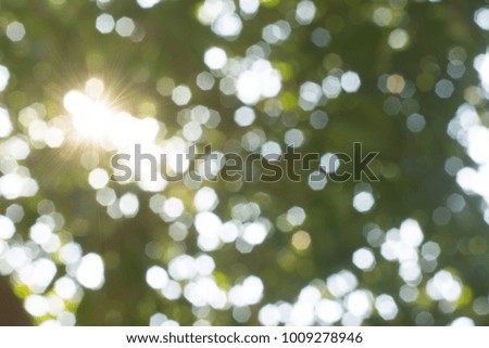 bokeh caused by sunlight shining through the trees, showing beautiful bokeh effect, good for using as background
