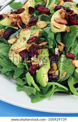 Healthy spinach and arugula salad with cilantro, dried cranberries, spiced almonds and avocados served with a lite vinaigrette.