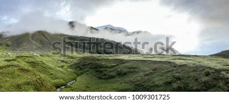 Panoramic view of a fresh vivid green scenery in the highlands of the Andes mountains in Bolivia. 