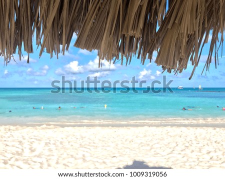 The idyllic Palm Beach in Aruba framed with a parasol. Caribbean landscape.