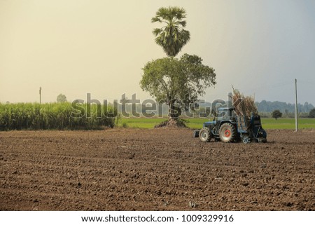 Machine sugar cane in tropical climate.