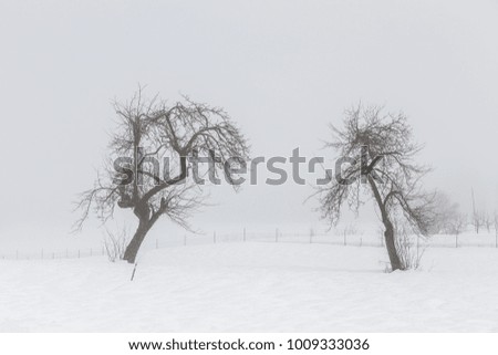 Simple, minimal winter landscape somewhere in Slovenia-Europe