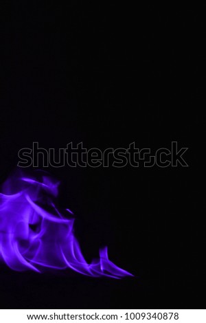 Beautiful fire purple flames on a black background.