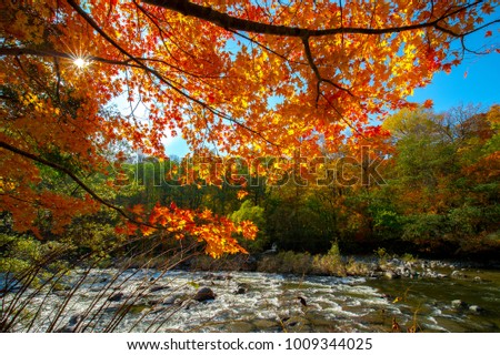Beauty of autumn