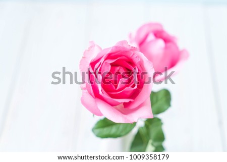pink rose in vase on wood background with copy space