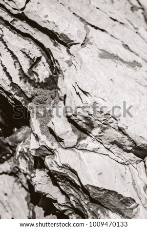 Texture of rocks