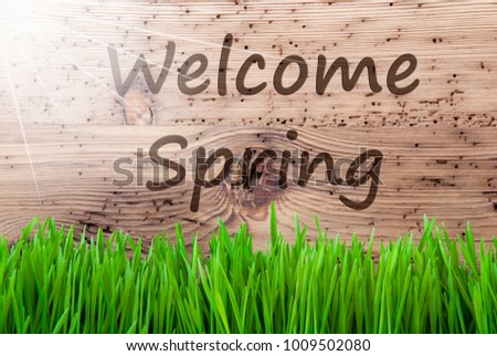 Bright Sunny Wooden Background, Gras, Text Welcome Spring