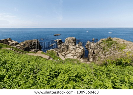 Tojinbo's basaltic cliffs on the Sea of Japan in Japan