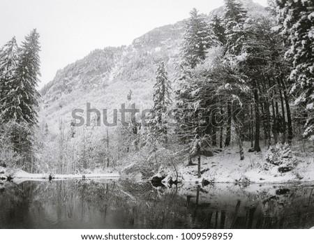Snowy Alpine forests and ponds in the high French Alps.