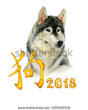 Picture of a husky dog and the chinese hieroglyph "Dog". The illustration for the Chinese New Year is hand painted in watercolor on the white background. 