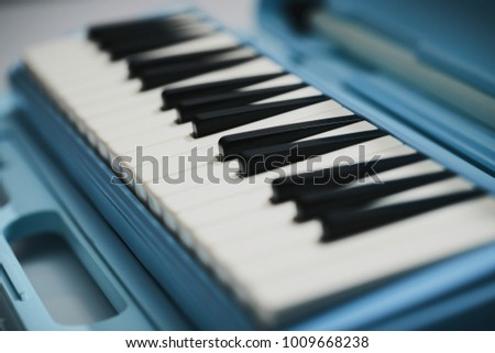 Keyboard harmonica on the white background.