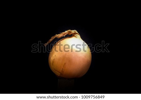 onion on a black background