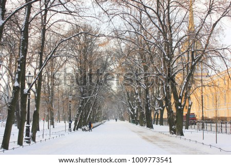 Snow Alley Winter Outdoor Nature.  Street Landscape Background with Tree Trunks and Empty Snowy Road. Straight Empthy Path Way with No People in Local Park, Empty Seasonal.