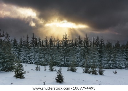 Beautiful winter landscapes in mountains,foggy,sky clouds,forest