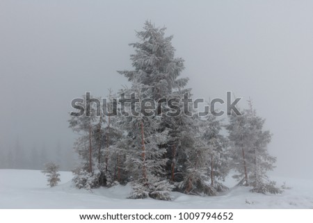 Beautiful winter landscapes in mountains,foggy,sky clouds,forest