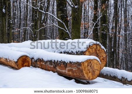 logs on the snowy slope in forest. lovely nature scenery in winter