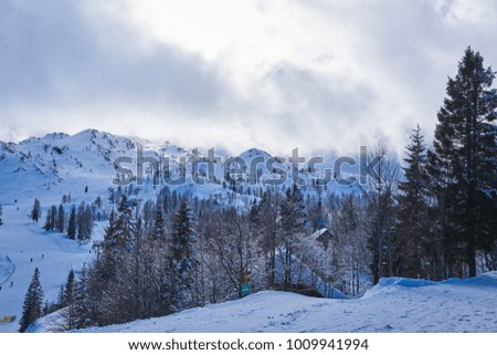 Winter landscape forest