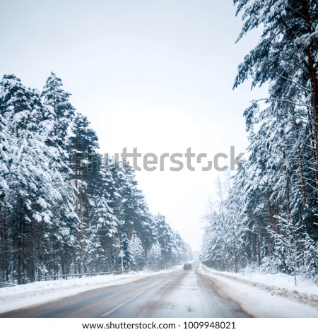 Photo of winter road with trees in snow