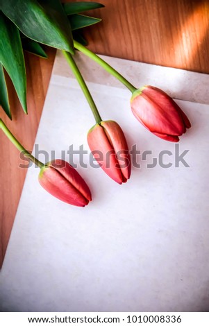 Beautiful spring picture with the three red tulips on a piece of paper in sunlight with copyspace
