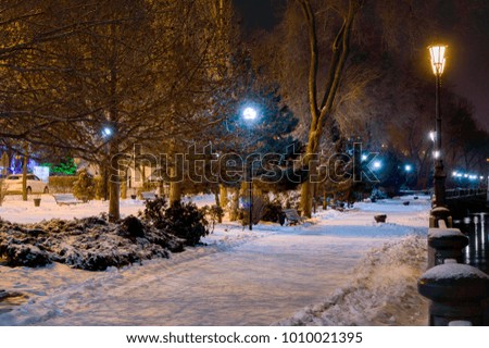 Night winter landscape in the alley of city park.