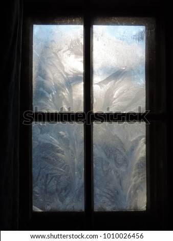 Window covered in the artistic ice (fern) flowers highlighted by rising sun