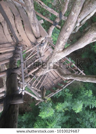 Wood stair on tree house photo