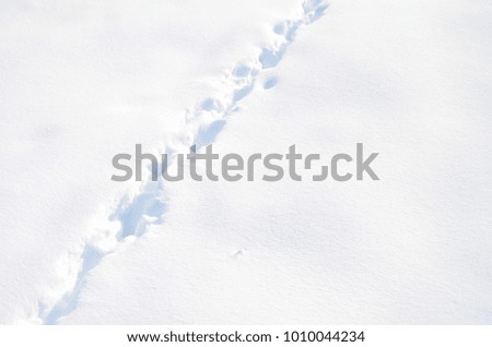 A lot of human tracks leave into the distance on the snow-covered road