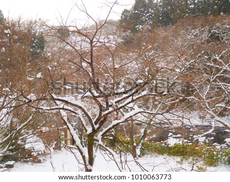 Winter white snow ice field covering dry brown red tree branch forest, land ground field, grass bush and icy water stream canal beside the hill, grey cloudy sky and far away mountain peak background
