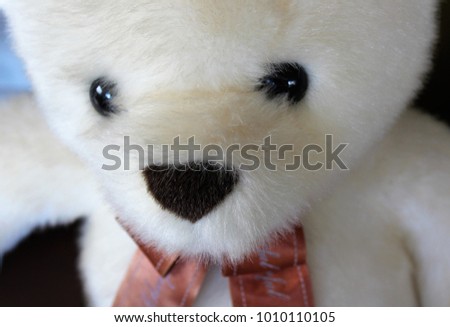 The face of an adorable stuffed bear